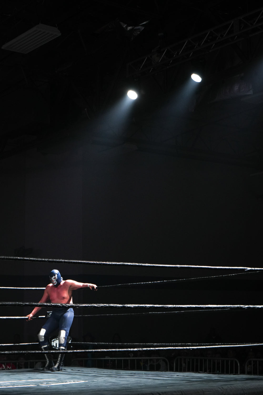 Blue Demon Jr