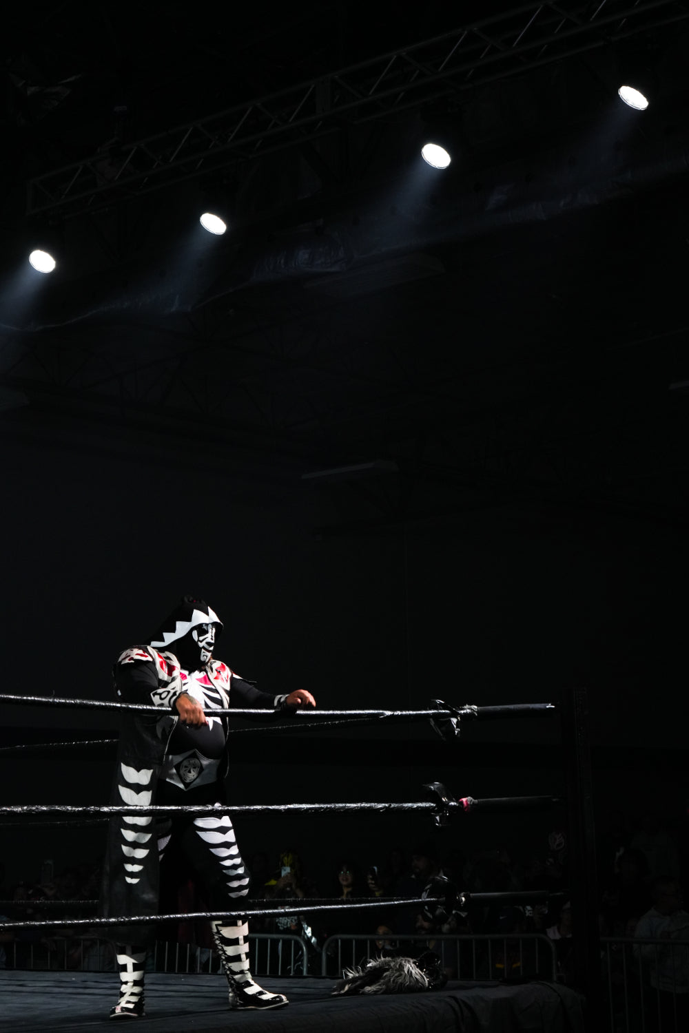 LA Parka