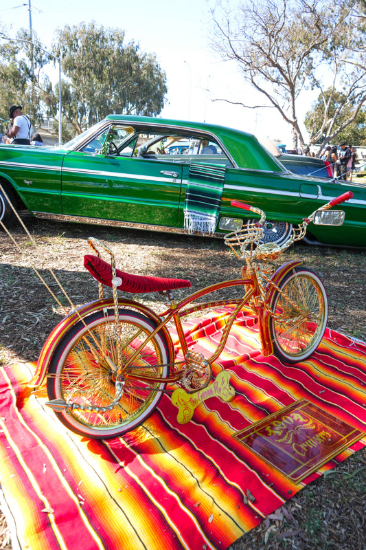 Low Low Bike